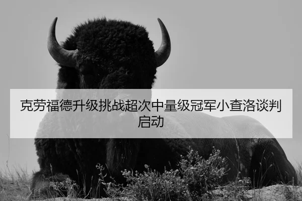 ke-lao-fu-de-sheng-ji-tiao-zhan-chao-ci-zhong-liang-ji-guan-jun-xiao-cha-luo-tan-pan-qi-dong-3-375.jpg